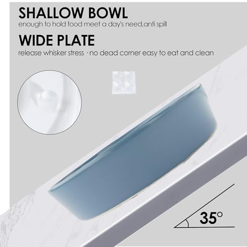 Ceramic Slow Feeder Dog Bowl for Small Dogs & Cats, 6 Inch Puzzle Pet Food Dish, Non-Slip Heavy Design, Helps Reduce Fast Eating, Bloating & Indigestion, Dishwasher Safe (Midnight Black) - color: Midnight Black