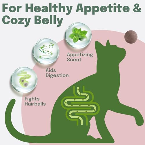 Catnip Balls 6 Pack with Natural Silvervine & Gall Fruit
