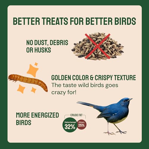 Hatortempt 2lb Dried Mealworms for Wild Birds & Chickens, Wild Bird Food - size: 2 Pound (Pack of 1)