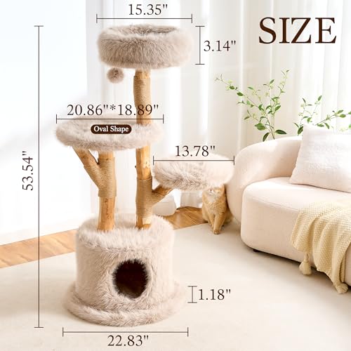 HITTITE Natural Wood Cat Tree Tower with Scratching Post, 53.5 Inches Tall Modern Cat Tower with Cozy Bed and Condo, Luxury Real Branch Cat Tree for Indoor Cats Large Adult, Khaki. - color: 53"-Khaki