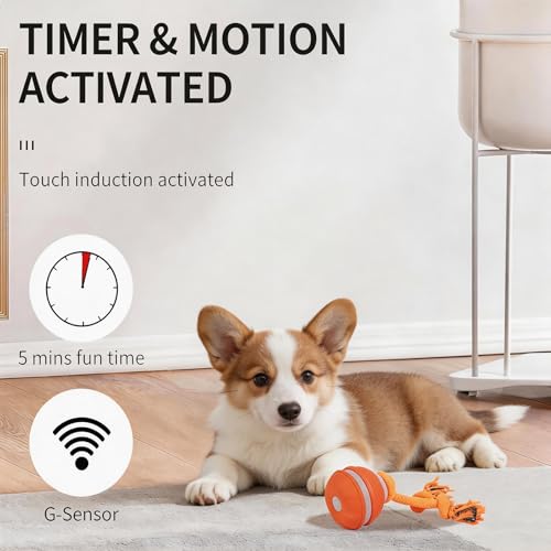 Interactive Dog Toy, Automatic Rolling Ball with Bird Sound, 3 Mode Pet Toy - color: P06-1 Orange