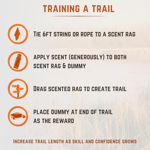 Game Training Scents for Hunting Dogs - Field-Train Your Dog to Track and Retreive for Upland Hunts - size: Scent Kit, style: Quail