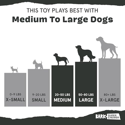 BarkBox Throwbar Super Chewer - Toy for Medium to Large Dogs - color: Throwbar-Medium to Large