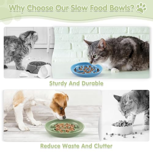 Cat Slow Feeder Bowl Set,2 Pcs Pastel Series Cat Plate for Dry and Wet Food - color: Blue and Green-A