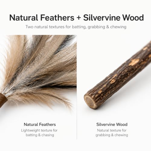 Silvervine Feather Cat Toys, 3 Pack Natural Feather Chew Toys - style: Natural Feather
