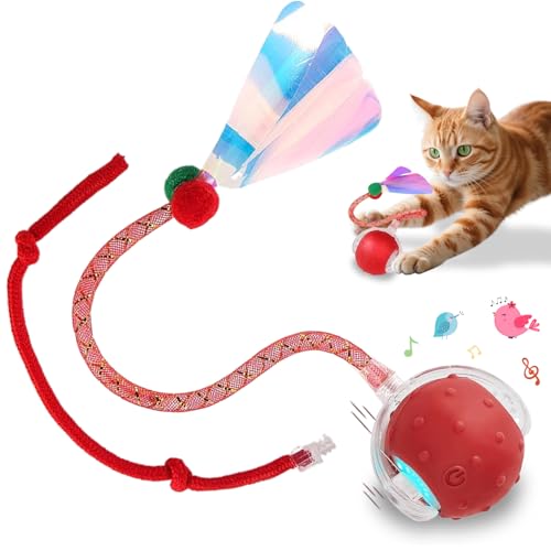 Interactive Cat Toys Smart Ball for Cats & Dogs! Now with 2 Rapid Tails. Features: 360°Auto-Rolling, Motion Activation& Bird Sounds. Perfect for Indoor Pet Exercise & Fun. (Red1) - color: Red1