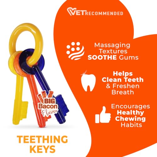 Nylabone Puppy Chew Teething Key Ring Dog Chew Toy, Bacon Flavor, Small - size: Small