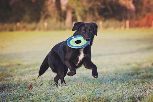 Chuckit! Max Glow Zipflight Flying Disc Dog Toy, Floats, Medium, 8.5in - size: Medium