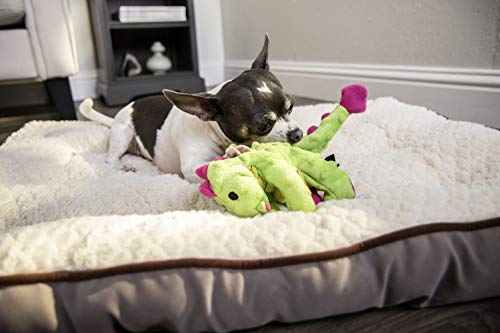 goDog Bubble Plush Dragons Squeaky Dog Toy, Chew Guard Technology - Bright Green, Small - color: Bright Green, size: Small