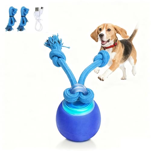 Interactive Dog Toys, Moving Dog Ball with Touch Activated, Active Rolling Ball for Puppy and Medium Dogs, Squeaky, USB Rechargeable