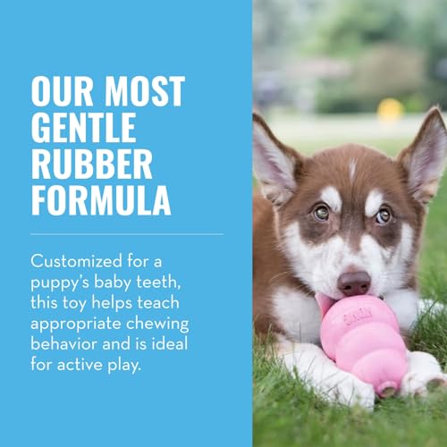 KONG Puppy, Natural Rubber Teething Chew Toy, for XS Puppies, Pink - color: Pink, size: Extra Small (Pack of 1)