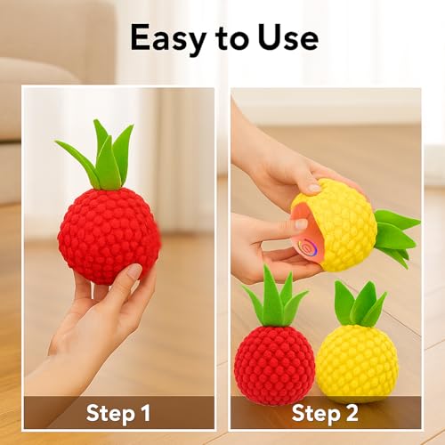 2 Pack Dog Ball Covers, Plush Tomato and Pineapple Sleeves for Moving Balls - color: 2pcs Dog Ball Covers