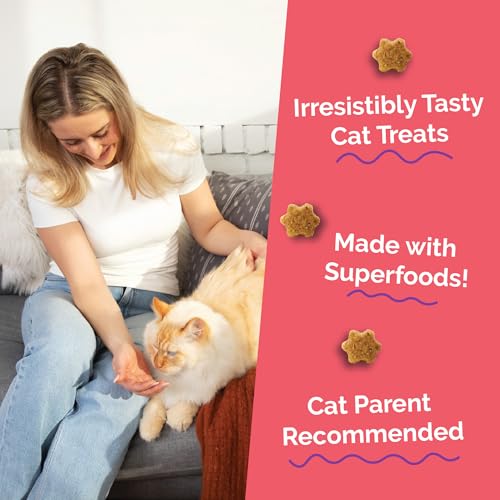 Fruitables Crunchy Cat Treats, Healthy Cat Treat, Salmon & Cranberry, 2.5oz - size: 2.5 Ounce (Pack of 1), style: Salmon & Cranberry