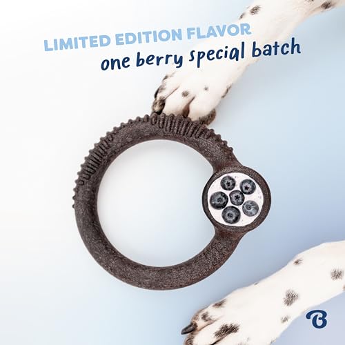 Benebone Ring Dog Chew Toy for Aggressive Chewers, Blueberry, Small - color: REAL Blueberry, size: Small