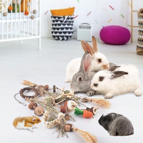 Bissap 3 PCS Rabbit Chew Toy, Bunny Cage Hanging Chew Toys Treats Rattan Ring with Snacks Water Grass Wooden Block Carrot for Guinea Pigs Chinchillas Hamsters Rats and Other Small Pets Teeth Grinding - size: 3 PCS