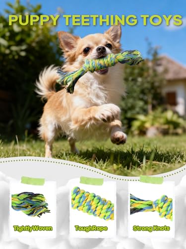TwoEar Dog Rope Toy 9 Pack - Puppy Teething Toys for Small Medium Breed - color: Blue, size: Mini/Small