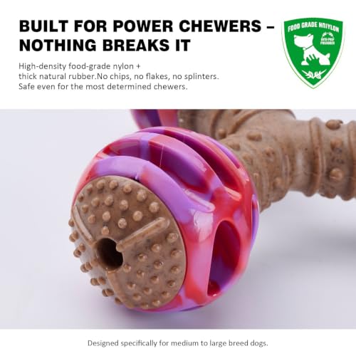MECOOL Durable Dog Chew Toys for Medium Dogs - Squeaky Rubber Balls with Nylon Reinforcement, Interactive Lick & Chew Toy for Aggressive Chewers, Pet Teething Toy Red,Bacon Flavored - color: Red