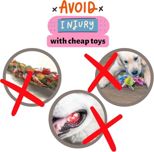 3-in-1 Enrichment Set, Tug, Sniff & Treat Dispense (Purple) - color: Lavender