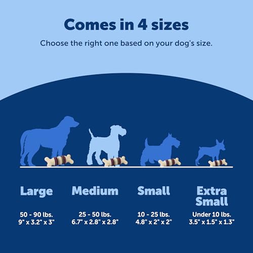 PetSafe Busy Buddy Bristle Bone Dog Treat Holding Chew Toy, Medium - size: Medium, style: Bristle Bone
