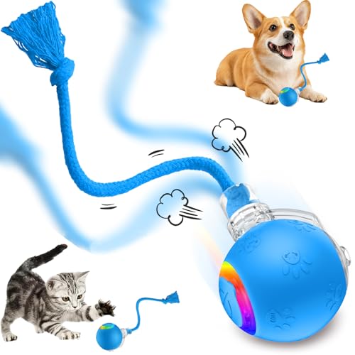 Speed 2.0 Tail Interactive Cat Toys, Rechargeable Ball for Indoor Cats - color: Blue tail