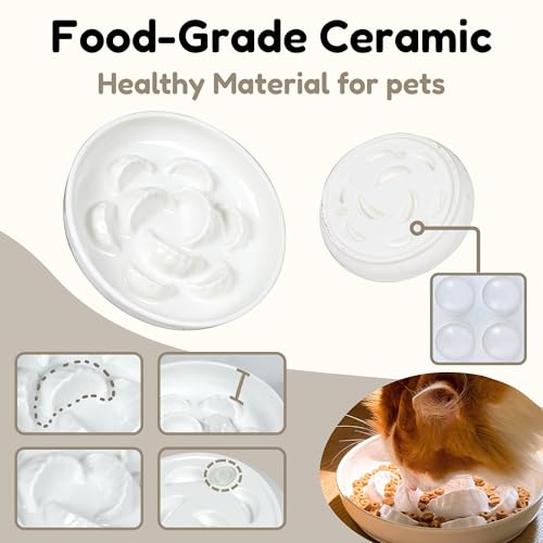 Ceramic Cat Slow Feeder Bowl Set, 2 Pcs Dumpling Shape Cat Food Plates, 6.2" W Wide Shallow Whisker Friendly Slow Feeding Cat Bowls for Dry Food, Wet Food & Treats, Dishwasher Safe, White - color: White + White
