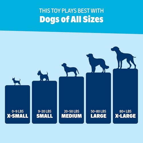 BarkBox Bark-B-Q Flying Disc Dog Toy - for Dogs - color: Bark-B-Q