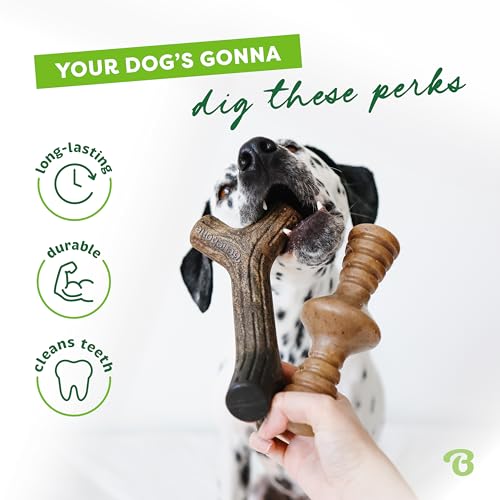 Benebone 2-Pack Maplestick/Zaggler Durable Dog Chew Toys, Dog Bones, Medium - size: Medium, style: Maplestick/Zaggler