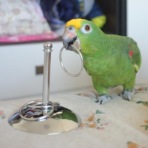 Fosrion Stainless Steel Parrot Ring Toss Toy, Interactive Training & Enrichment Toy for Parrots – Bite-Proof, Anxiety Relief, Exercise Fun for All Kinds of Parrot (Medium) - size: Medium