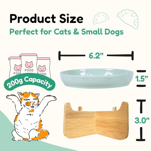 Slow Feeder Cat Bowl with Stand - Unbreakable Elevated Slow Feeder Bowl for Cats - Melamine Puzzle Raised Cat Food Bowl - Whisker Friendly & Wet & Dry Food- Dishwasher Safe & Non Slip (Green - color: Green