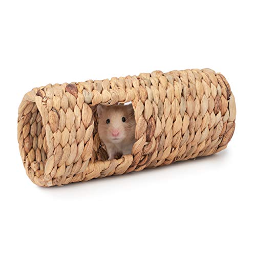 Niteangel Creative & Composable Hamster Tunnel: Edible Water Hyacinth & DIY - size: SHLD