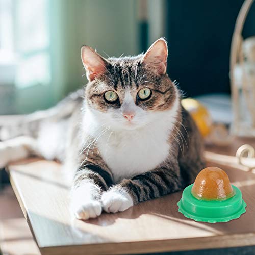 DOITOOL Catnip Lickable Treats 9 pcs Cat Snack Lollipops Natural Edible Catnip Balls Kitty Teeth Cleaning Chew Toys Helps Increase Appetite Promotes Digestion for Kittens