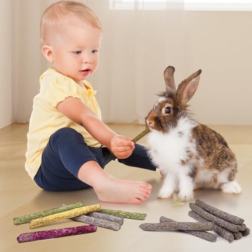 52Pcs Rabbit Chew Sticks, Guinea Pig Toys, Natural Timothy Teeth Stick - size: 52Pack-Sticks