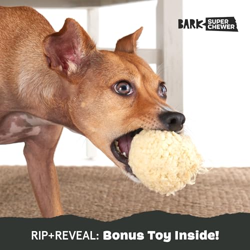 BarkBox Potato Super Chewer - Toy for Small Dogs - color: Smash Potato
