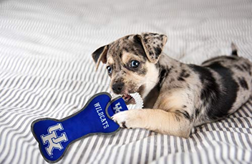 Pets First NCAA Kentucky Wildcats Dental Dog TUG Toy with Squeaker. Tough PET Toy for Healthy Fun, Teething & Cleaning Pets Teeth & Gum - color: Kentucky Wildcats