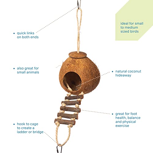 Prevue Pet Products Naturals Coco Hideaway with Ladder - style: Double Coconut with Ladder