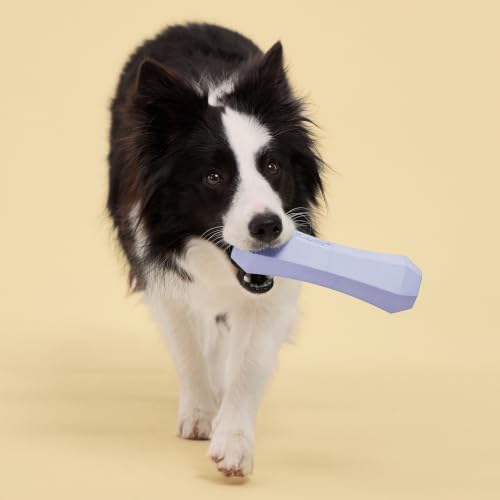 Playology Squeaky Chew Stick - Scented Dog Toy - Jumbo, Lamb Scent - size: Jumbo, style: Lamb