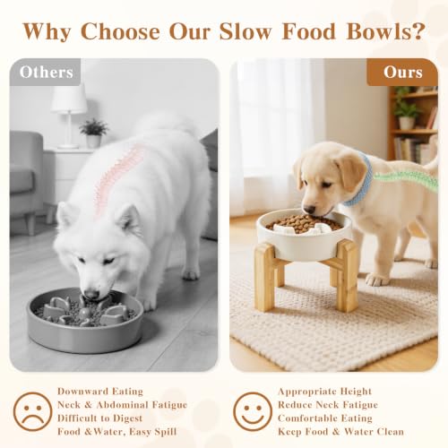 6.3” Elevated Slow Feeder Dog Bowls,Ceramic Slow Feeder Dog Bowl with Stand - color: White-M