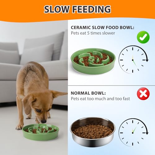 Ceramic Slow Feeder Dog Bowl, 2 Cups Maze Puzzle Dish to Slow Down Eating - color: Flower - Green
