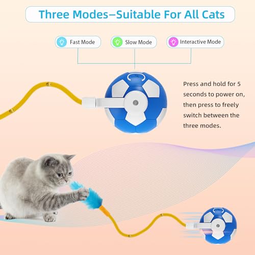 Cat Enrichment Toy, Chase Toy for Bored Indoor Adult Cats - color: C -Blue