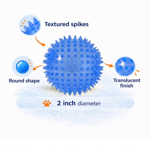 Squeaky Spiky Dog Ball for Teeth Cleaning & Gum Massage 2 Inch Puppy Small Dogs Blue | Spiny TPR Rubber Chew Toy for Fetch Play Interactive Bouncy Dental Ball Durable BPA Free Nontoxic Floats - size: 2 Inch Blue Ball 1-Pack