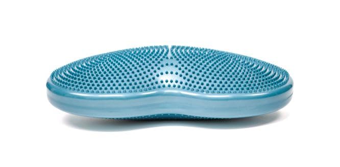FitPaws® Duo Disc Dog Training Platform - Balance, Exercise Core Stability