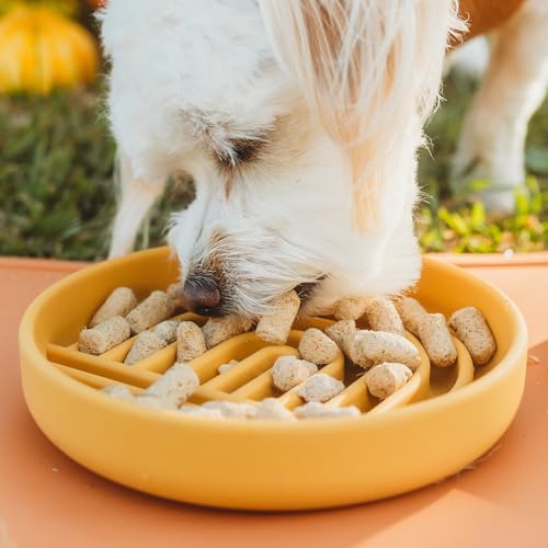 Slow Feeder Dog Bowl - Silicone Dog Bowl, Small, 6" x 1.25" - Honey - color: Honey - Rainbow Design, size: Small (6” Across x 1.25” Tall)
