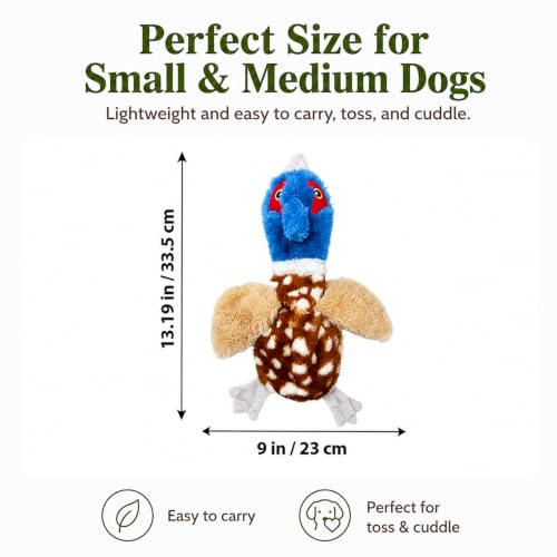 Stuffing-Free Bird Dog Toy, Plush Squeaky Dog Toy with 4 Squeakers and Crinkle Wings, Hollow Body No-Stuffing Design for Small Medium Dogs - color: Blue