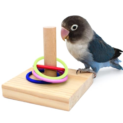 QBLEEV Bird Tabletop Toy, Parrot Activity & Training Trick Color Ring Toys - color: Color Circle B