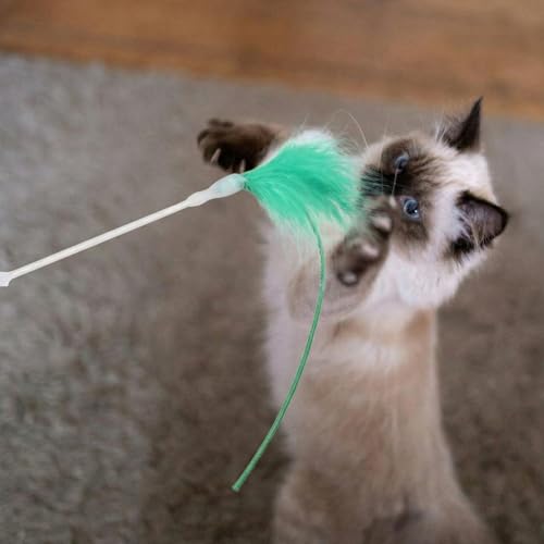 Lewtemi 9 Pcs Interactive Hide and Seek Cat Toys Replacement Feather