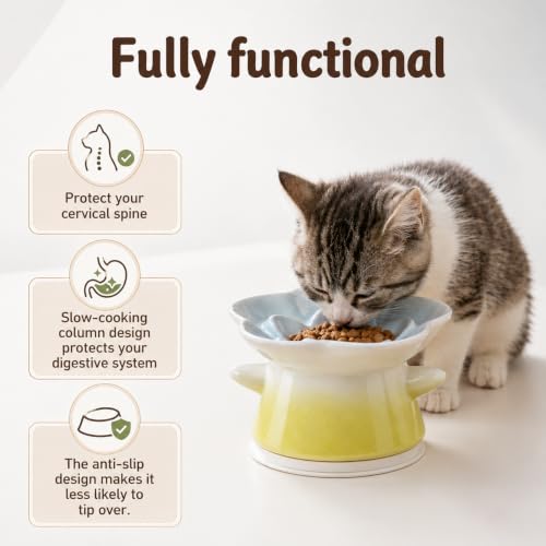 Slow Feeder Cat Bowl with Anti Slip Padfor Dry and Wet Food