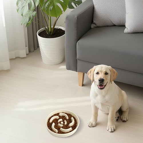 Ceramic Slow Feeder Dog Bowl, 2 Cups Maze Puzzle Dish to Slow Down Eating - color: Flower - White