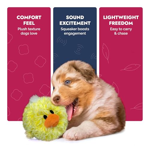 PetLou D.O.G'Z 4-inch EZ Squeaky Chick Dog Plush Toy,Durable Squeaks Bouncy Ball Dog Toy