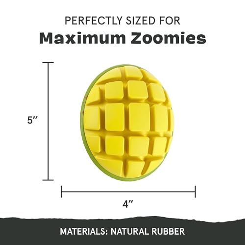 BarkBox Go Mango Tough Squeaky Rubber Dog Toy - Large - color: Go Mango-Large