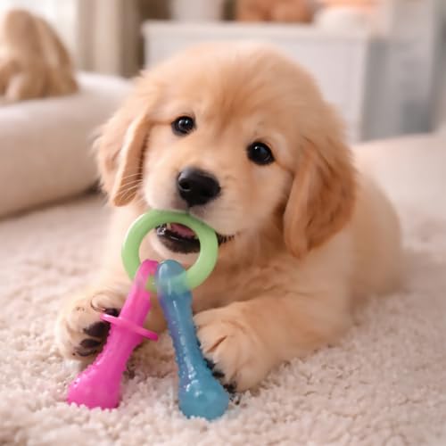 Nylabone Puppy Pacifier Chew Toy, Teething Toys for Puppies up to 25 lbs - color: Pacifier, size: Small